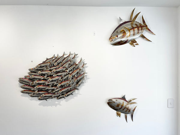 Sardine bait ball heated treated.