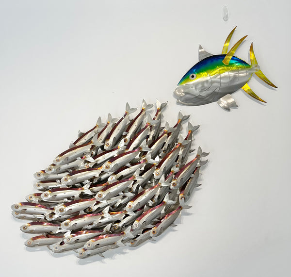 Sardine bait ball heated treated.