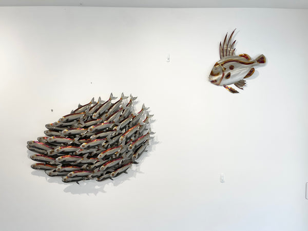 Sardine bait ball heated treated.