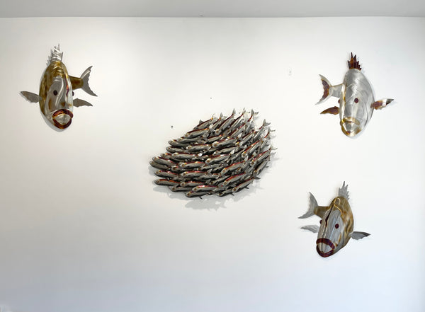 Sardine bait ball heated treated.