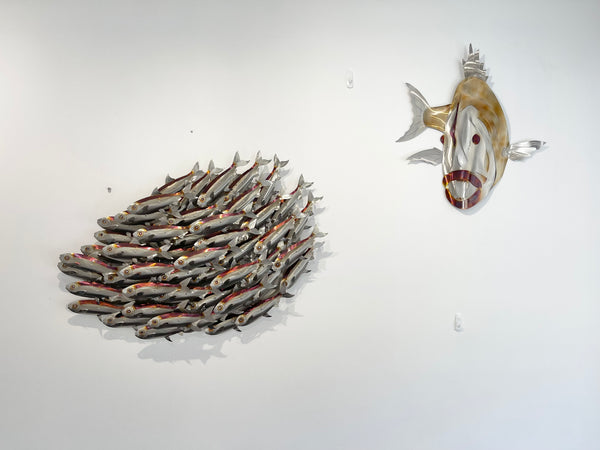 Sardine bait ball heated treated.