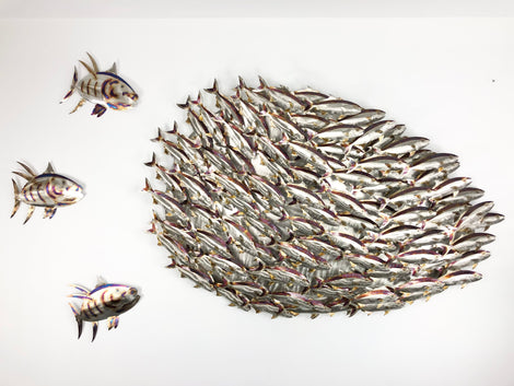 Bait balls &amp; Oval Eggs