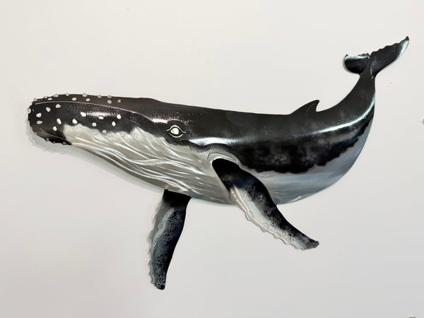 Humpback whale large