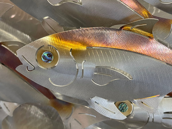 55 piece Baitfish school heated treated multi colour on our D shape canvas