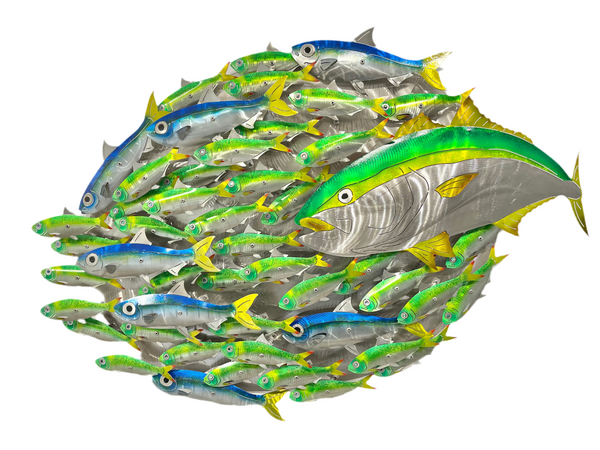 Kingfish bait-ball with Green & Blue baitfish mini