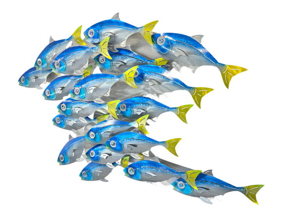 Fish Splash