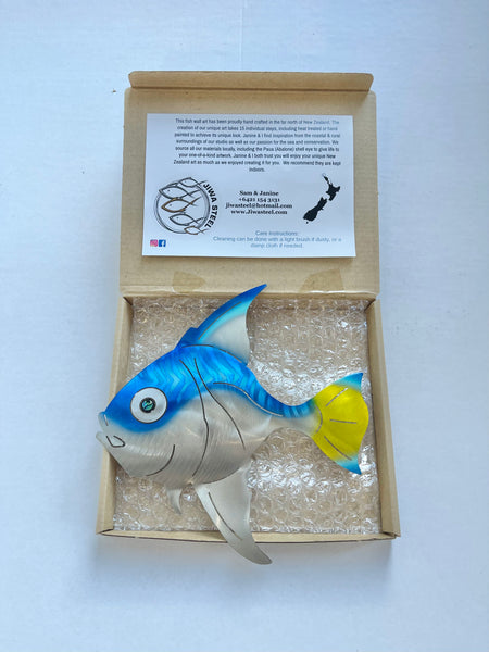 Angelfish Blue