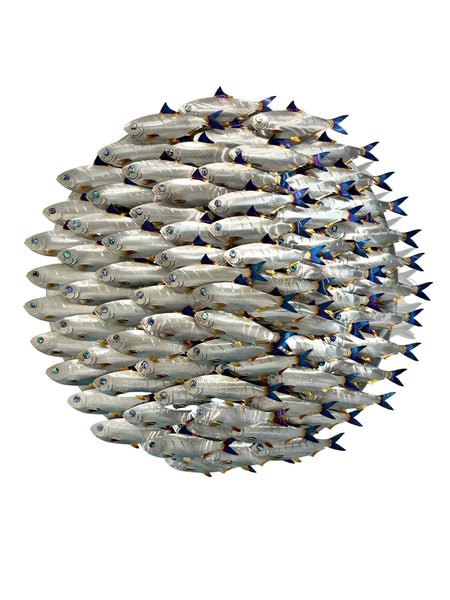 Pilchard Ball