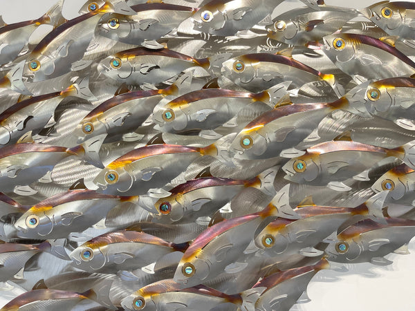 55 piece Baitfish school heated treated multi colour on our D shape canvas