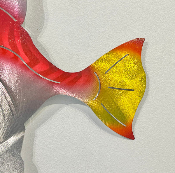 Angelfish Red