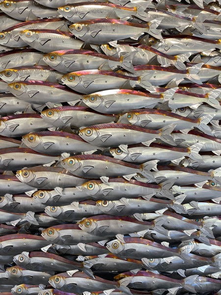 Large Sardine bait ball “Sphere style”