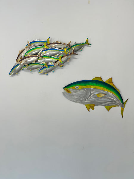 Dozen Kingi school “Multi colours” including paua eyes