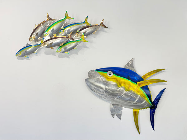 7 Kingfish Triple mix of colour