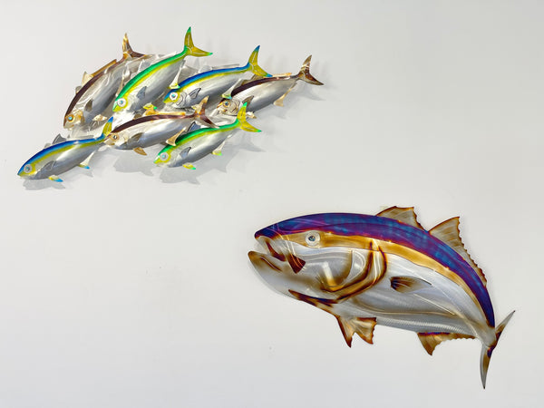 7 Kingfish Triple mix of colour