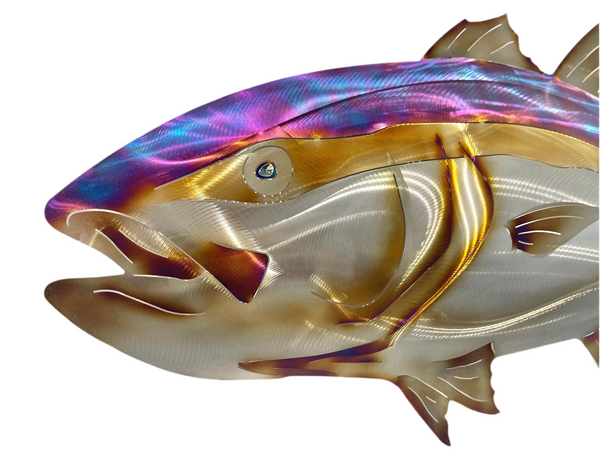King fish “Heat treated Electric Blue” large