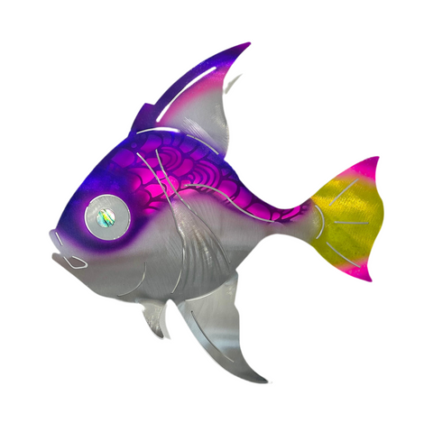 Angelfish Purple