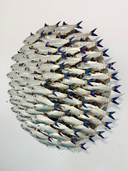 Pilchard Ball
