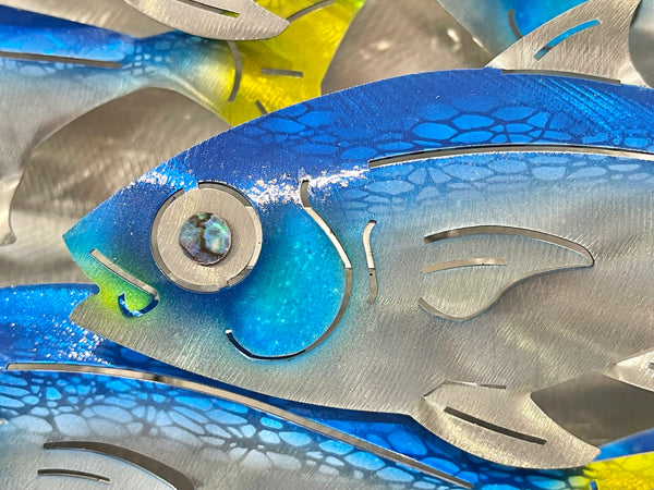 Fish Splash
