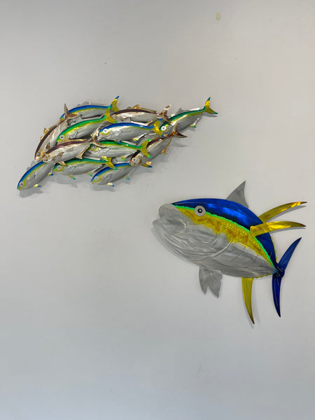 Dozen Kingi school “Multi colours” including paua eyes