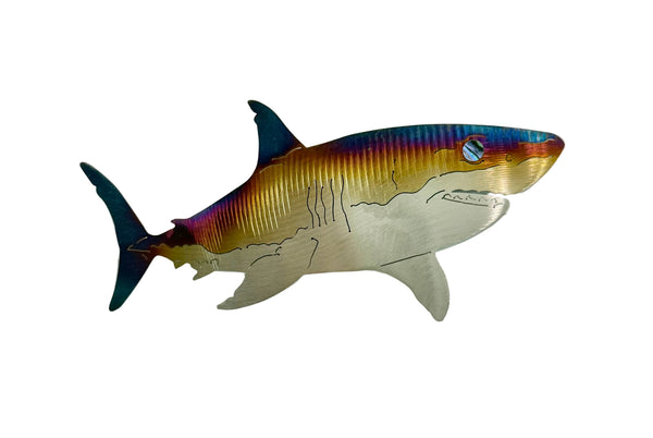 Magnet Shark