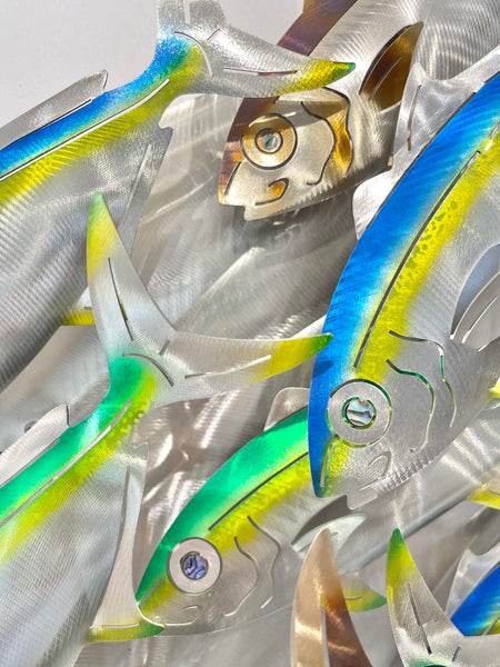 Dozen Kingi school “Multi colours” including paua eyes