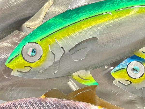 7 Kingfish Triple mix of colour