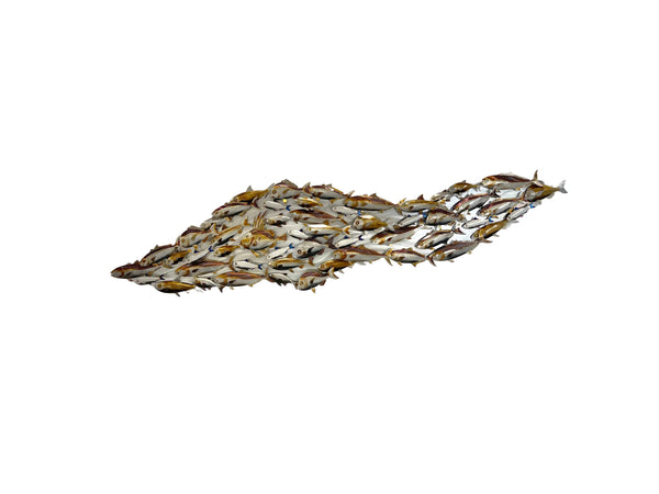Fishy Slick john dory with electric blue pilchards