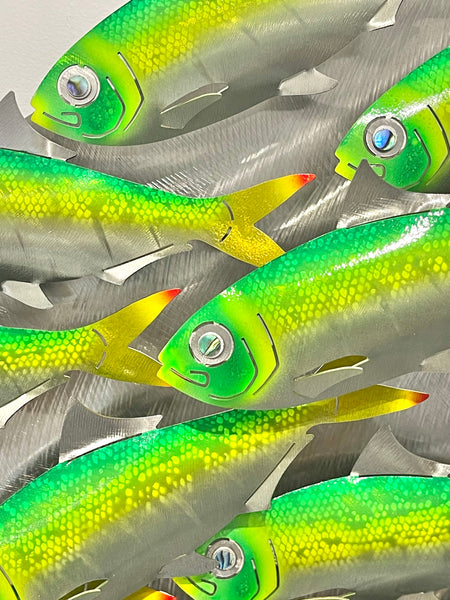 Hunting Kingfish.L bait-ball with Green baitfish mini