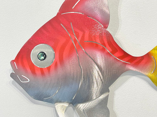 Angelfish Red