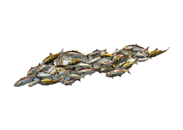 Fishy Slick mini version