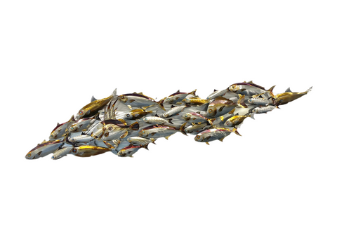 Fishy Slick mini version