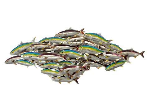 Mixed fish school 2