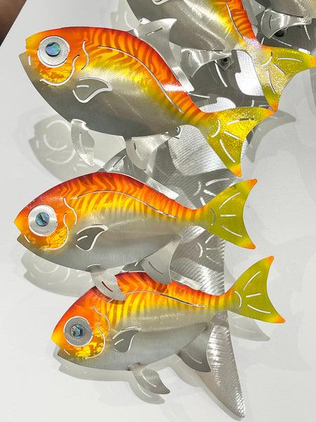 Moonfish Tiger stripes