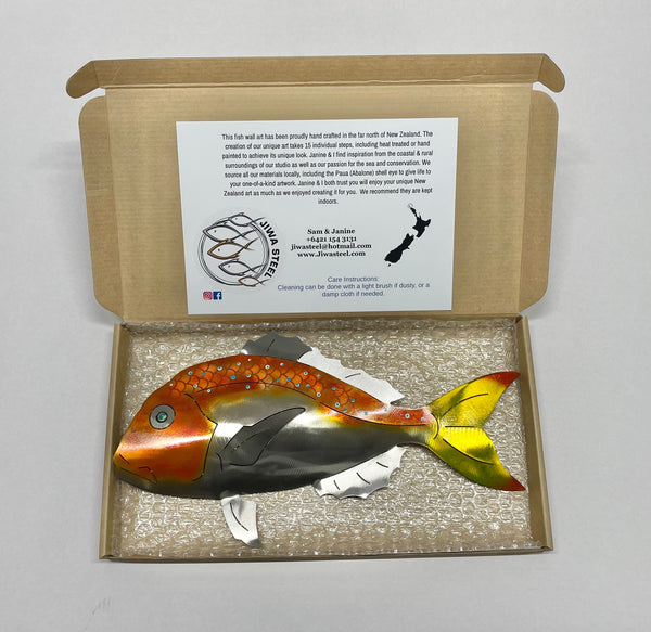 Barely legal Airbrushed coloured snapper