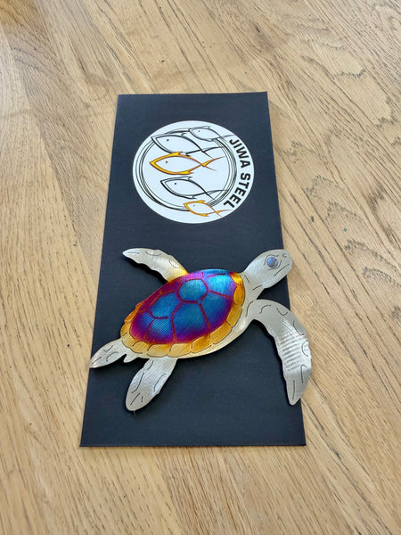 Magnet Turtle