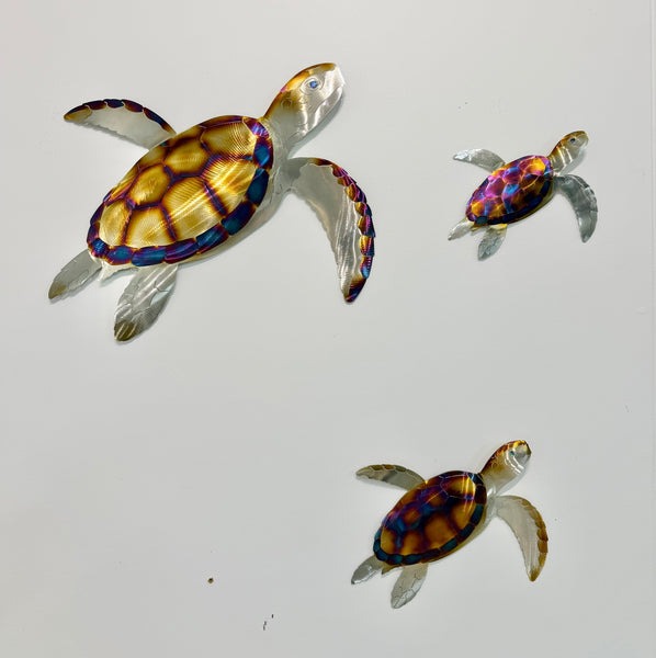 Turtle Heat treated Medium