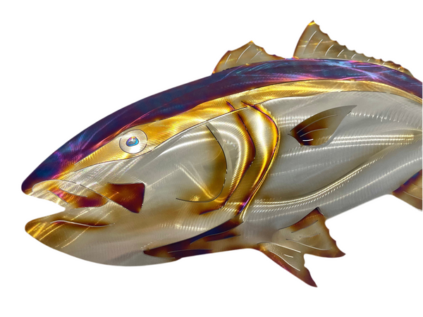 King fish “Heat treated Electric Blue” large