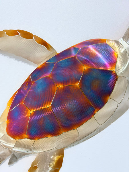 Turtle Heat treated Large