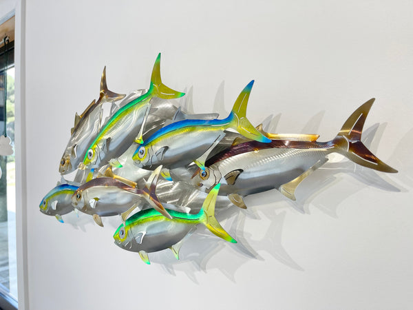 7 Kingfish Triple mix of colour