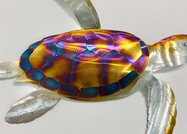 Turtle Heat treated Medium