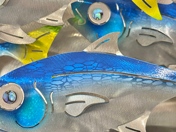 Fish Splash