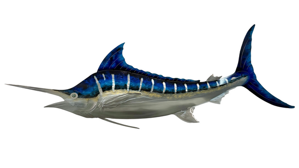 Blue water Striker version 1 1.2m