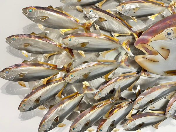 Hunting Kingfish.L bait-ball with Koheru heated treated mini