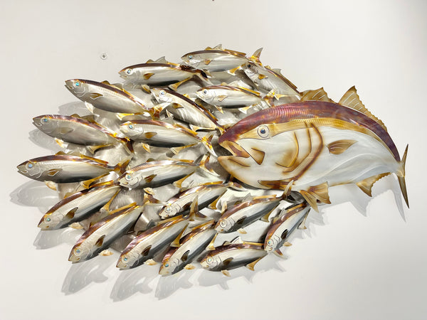 Hunting Kingfish.L bait-ball with Koheru heated treated mini