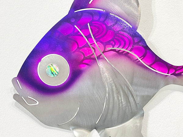 Angelfish Purple