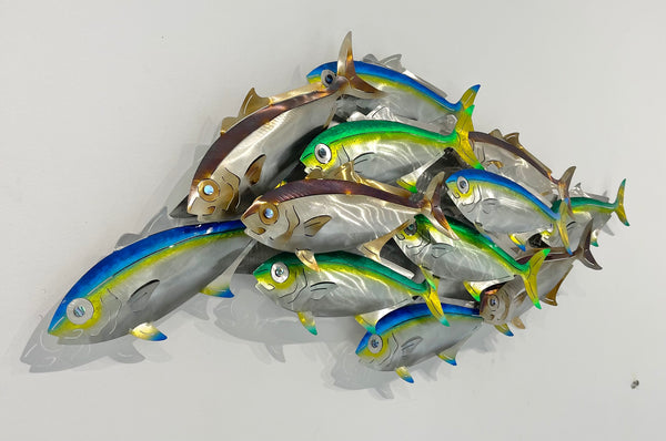Dozen Kingi school “Multi colours” including paua eyes