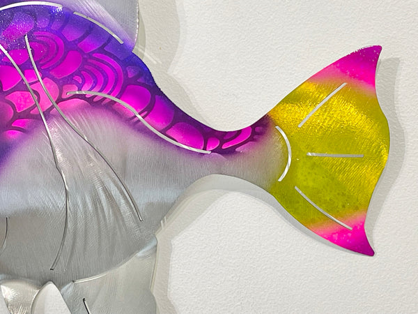 Angelfish Purple
