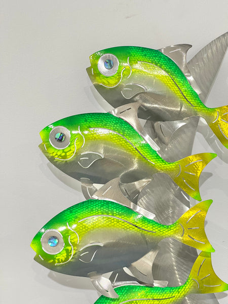 Moonfish in Tropical Greens