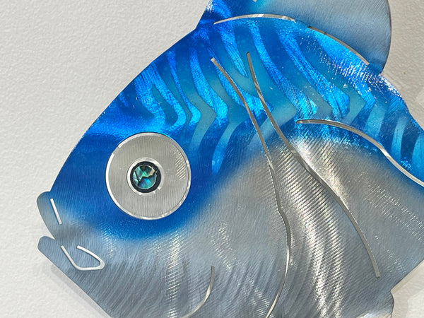 Angelfish Blue