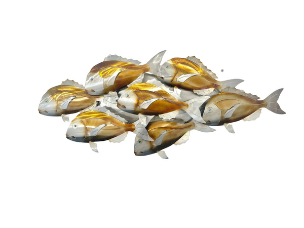 Snapper 7 Barely Legal Golden Snapper